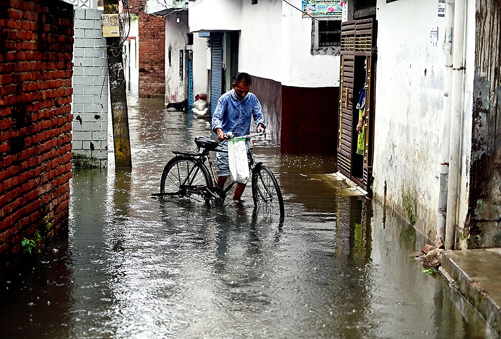 A cyclist makes his way through a waterlogged road after heavy rain, in Prayagraj, Uttar Pradesh. - | Photo: PTI 