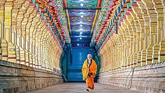 Prime Minister Narendra Modi at Ramanathaswamy Temple in Rameswaram on January 20, 2024. - Photo: PTI