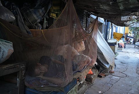 A pavement dweller rests under a mosquito net as a precaution against dengue amid a rise in cases, in Kolkata. 