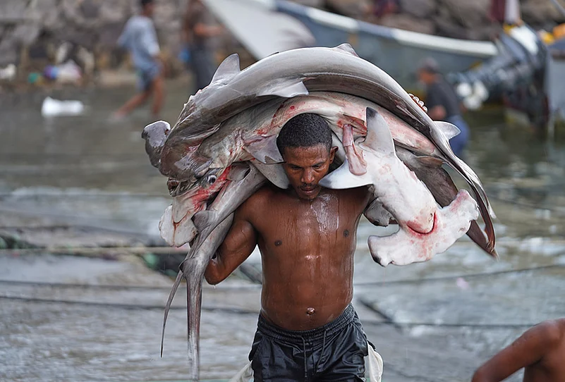 Mideast Wars Yemen Crisis daily life