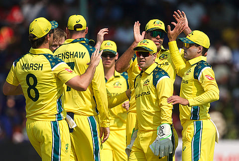 Australia players celebrate a wicket during the first One Day International cricket match between Zimbabwe and Australia in Harare, Zimbabwe, Tuesday, Sept.15, 2026. 