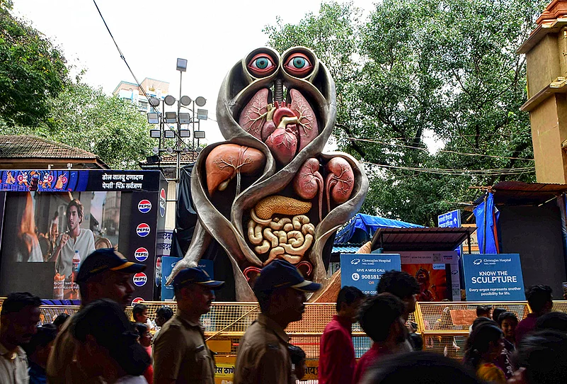 fibreglass sculpture featuring multiple human organs, titled ‘Organ of Hope
