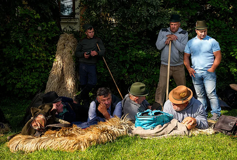Romanian shepherds protest