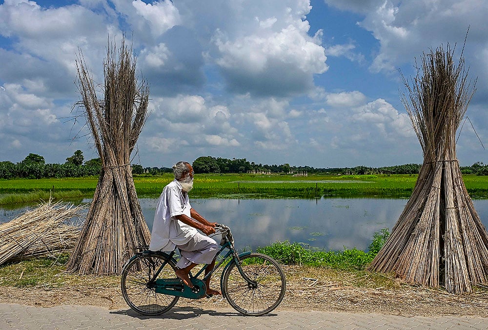 Weather: Cloudy day in Nadia