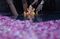 | Photo: AP/Rafiq Maqbool : Devotees immerse an idol of the elephant-headed Hindu god Ganesha in an artificial pond during Ganesh Chaturthi, in Mumbai, India.
