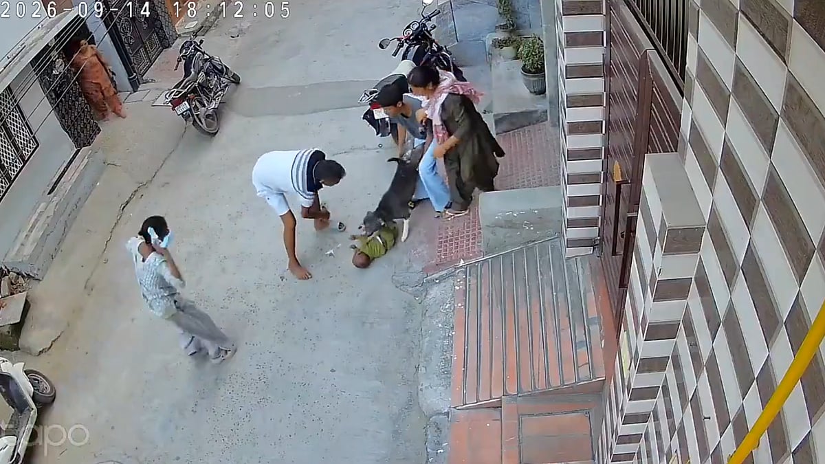 The child was attacked by a pet pitbull  - Screengrab from CCTV footage