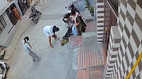 Sonipat Pitbull Attack Raises A Bigger Question: Who Is Accountable When Pets Injure People? Screengrab from CCTV footage : The child was attacked by a pet pitbull