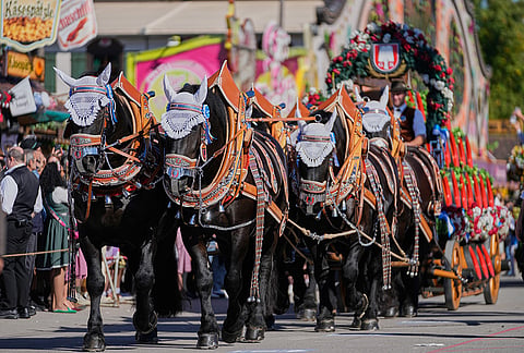 Horses take part in the Oktoberfest parade at the 191st Oktoberfest beer festival in Munich, Germany, Saturday, Sept.19, 2026. 