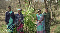 How Industree Is Rewriting Rural India's Bamboo Economy, One Woman Farmer At A Time How Industree Is Rewriting Rural India's Bamboo Economy, One Woman Farmer At A Time