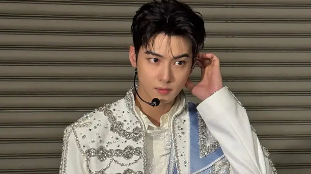 Cha Eun Woo Secret Surveillance Probe - X