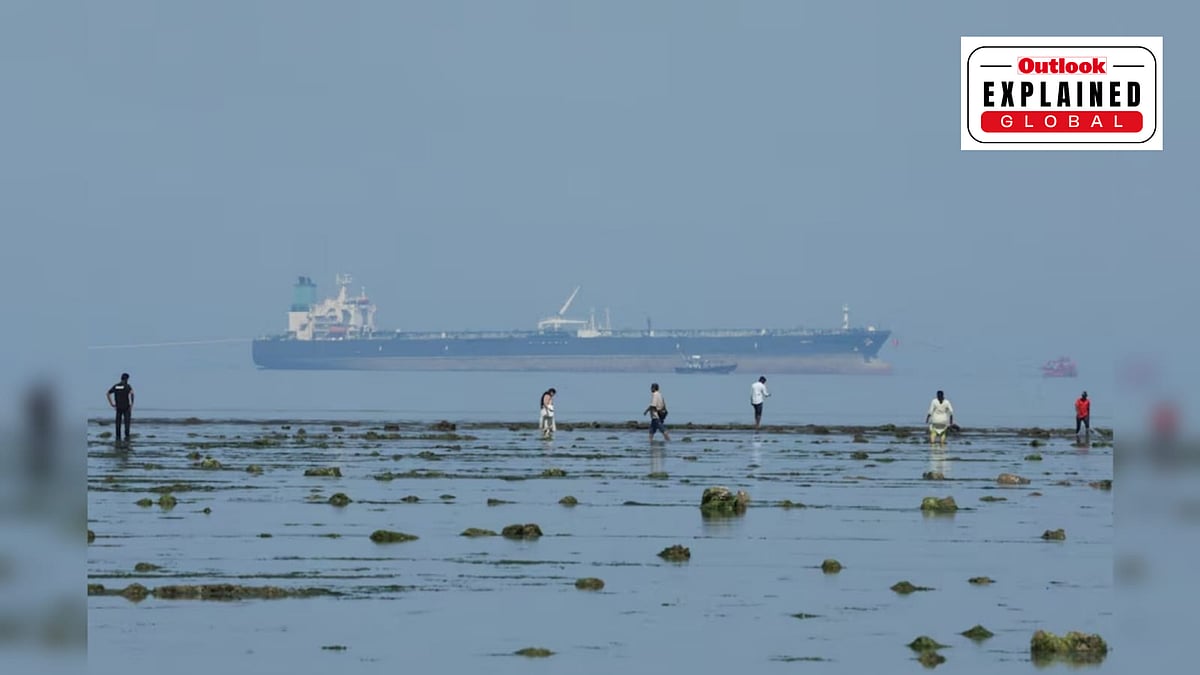 Tourists watch marine life, with the MT Desert Kite oil tanker carrying Russian oil in the background, at Narara Marine National Park in the Arabian Sea, Gujarat - Reuters