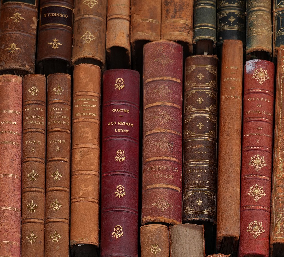 Kashmiri literature survives through books, songs, oral traditions, radio programmes, notebooks and family collections. - Pexels