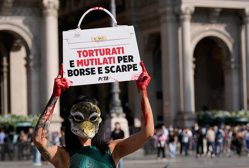 Ban exotic skins Italian fashion