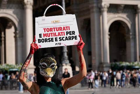 A PETA (People for the Ethical Treatment of Animals) activist stage a protest urging fashion brands to eliminate wild animal skins, in front of the Duomo gothic cathedral in Milan, Italy, Tuesday, Sept. 22, 2026. 