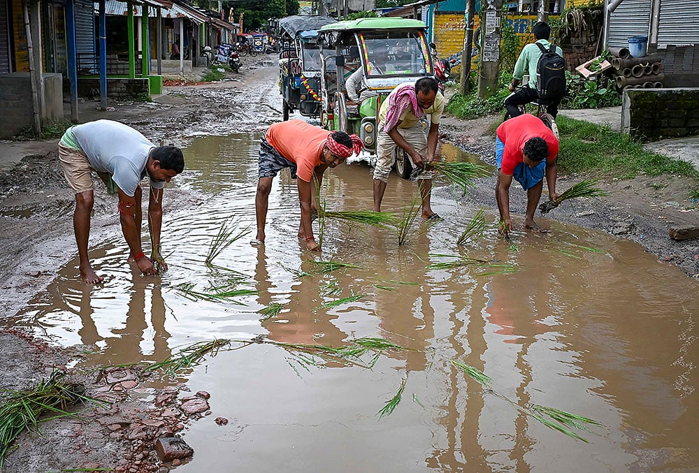 Nadia residents plant paddy saplings on waterlogged road