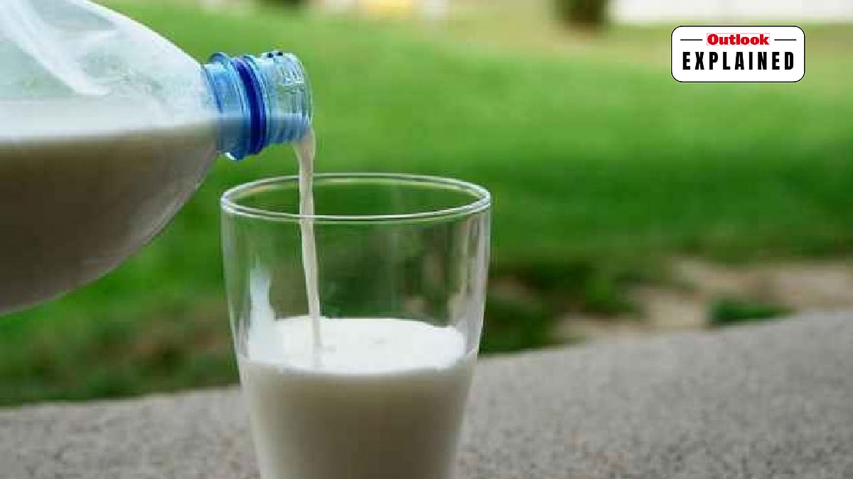 5,500 Children, 400 Anganwadis: How A Payment Dispute Halted Milk Supply In Gujarat - null
