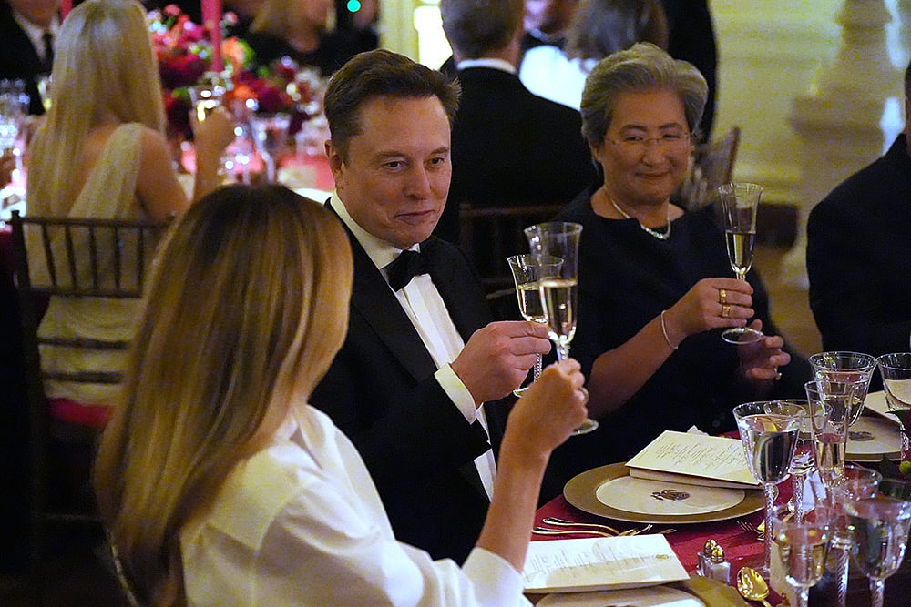 Elon Musk White House