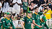 South Africa Vs Australia Live Streaming, 2nd ODI 2026: Preview, When and Where To Watch ProteasMenCSA/X : South Africa host Australia in the second ODI at Johannesburg on Sunday, holding a 1-0 series lead after a 67-run victory in Durban.