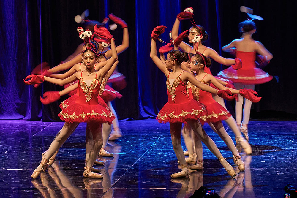 Baghdad Ballet Academy Mermaid Al-Sinbad Theater