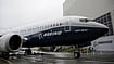 File Photo  : Why 96 Aircraft In Indian Airlines’ Fleets Are At Risk Amid Boeing 737 MAX Software Issue