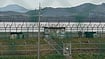 AP; Representational Image : South Korean army soldiers patrol along the barbed-wire fence in Paju, South Korea, near the border with North Korea, Monday, Oct. 14, 2024.