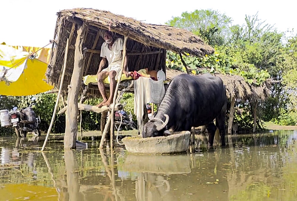 Villages inundated as Ghaghra River flows above danger mark in Gonda