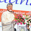 Chief Minister Chandrababu Naidu