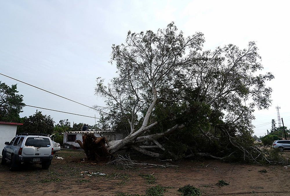 Puerto San Carlos storm damage
