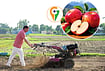 Uttarakhand: Dev Bhoomi Se Karma Bhoomi | Himalayan Harvest: From Apple Orchards To A GI-Tagged Grain Belt