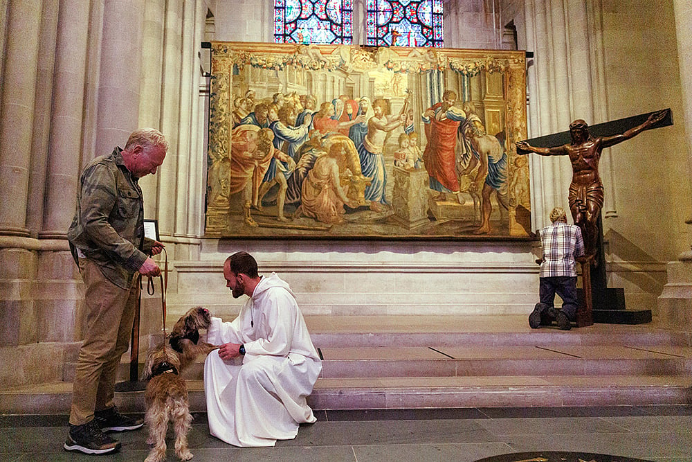 New York Blessing of the Animals