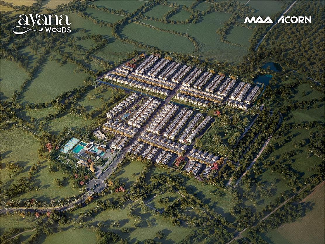 null - null
