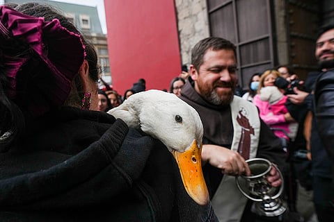 A woman holds her goose during the blessing of the animals ceremony outside San Francisco church on the feast day of St. Francis of Assisi in Santiago, Chile, Sunday, Oct. 4, 2026.