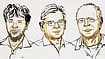 Three Scientists Wins Medicine Nobel For Light-Controlled Nerve-Cell Research X/@NobelPrize : Karl Deisseroth, Peter Hegemann and Georg Nagel.