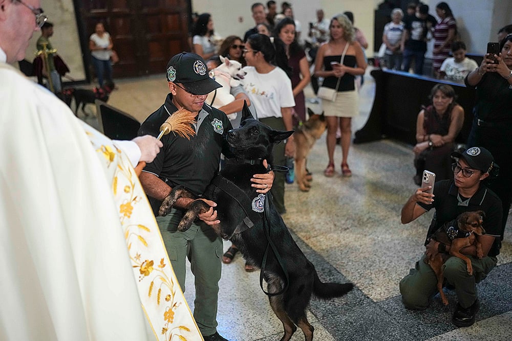 Panama Animal Blessing 2026