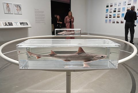 An installation "Two Similar Swimming Forms in Infinite Flight" by Damien Hirst is displayed during a media preview of "The 90s: Art and Fashion exhibition" at Tate Britain in London, Tuesday, Oct. 6, 2026. 
