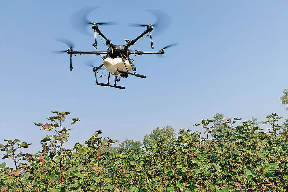 Leveraging the Power: AI has entered every stage of India’s agriculture value chain - | Photo: Pexels/Jeeva