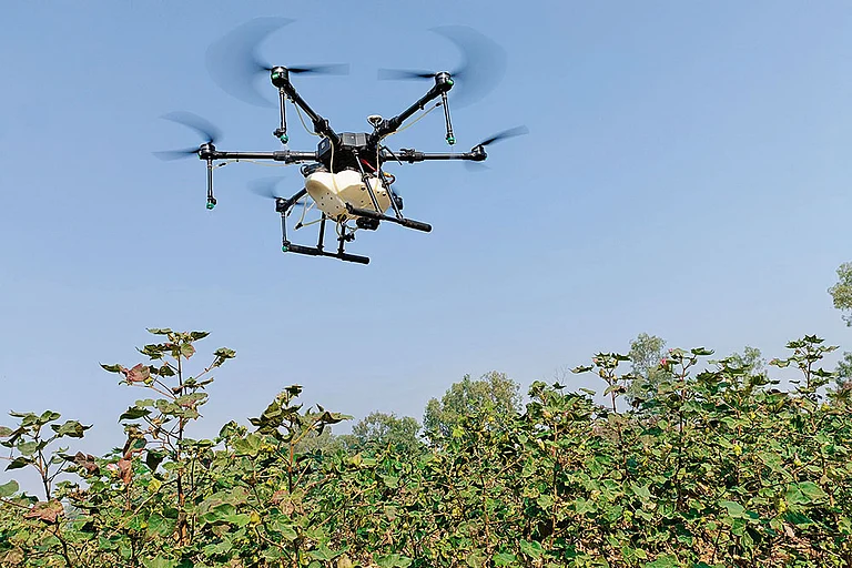 Leveraging the Power: AI has entered every stage of India’s agriculture value chain - | Photo: Pexels/Jeeva