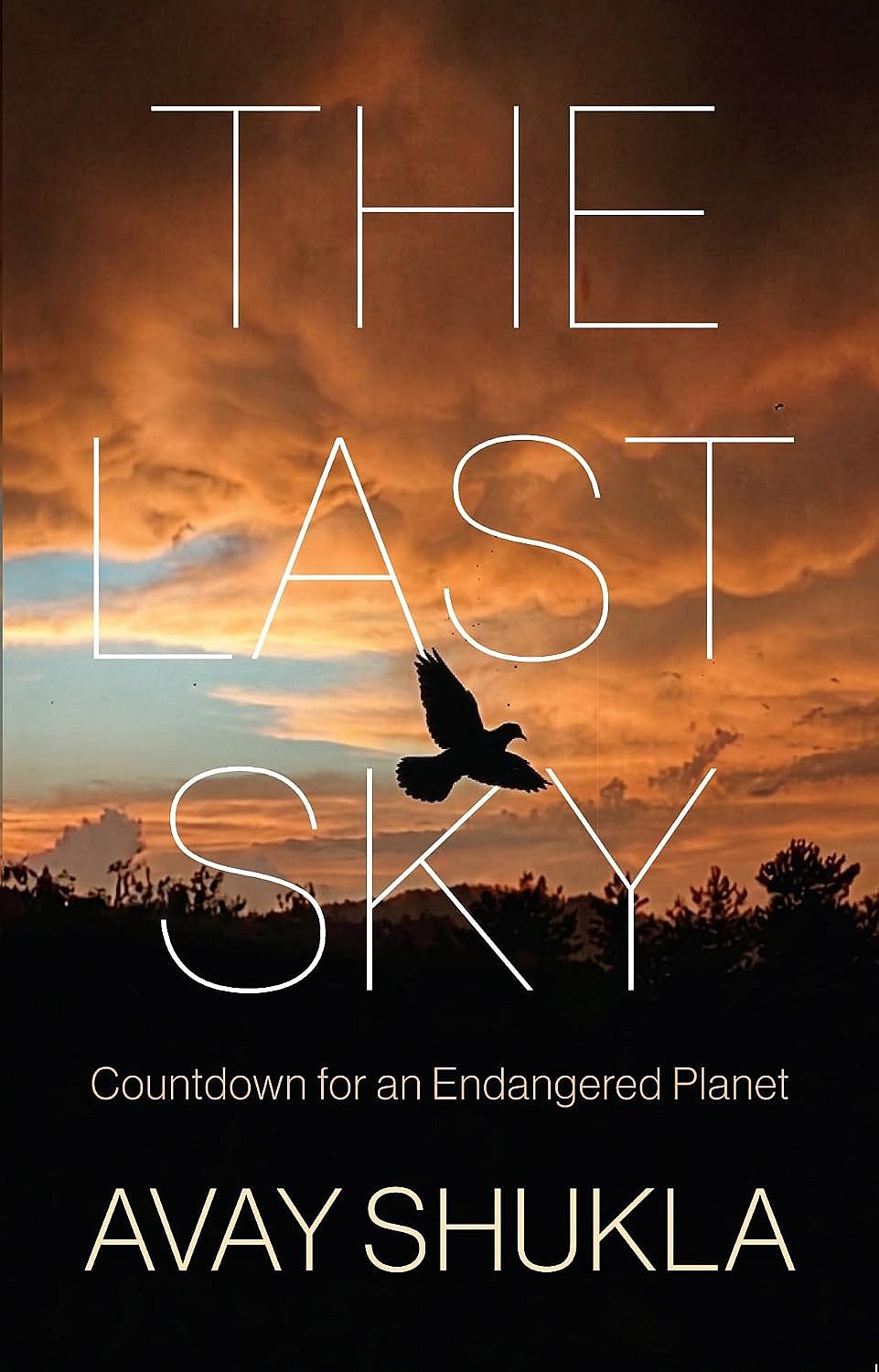 The Last Sky by Avay Shukla - null