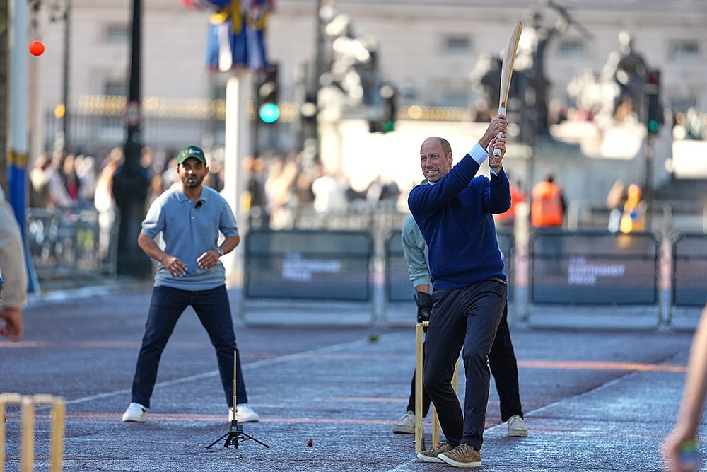 Prince William plays cricket