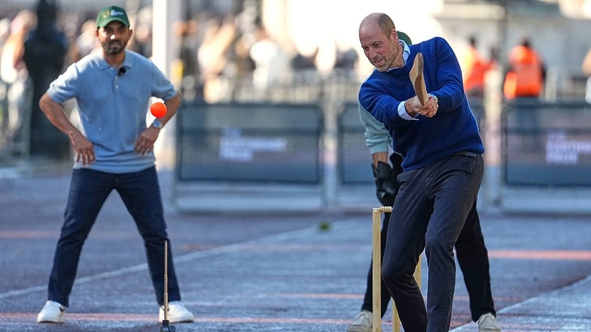 Prince William plays cricket