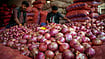 Philippines Fines ‘Onion Cartel’ $28 Million Over Price Surge, Know Key Details | Photo: PTI : Representative Image