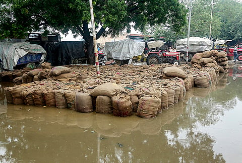 Paddy crop sacks lying in the open at a waterlogged grain market remain drenched following rainfall, in Mathura, Uttar Pradesh.