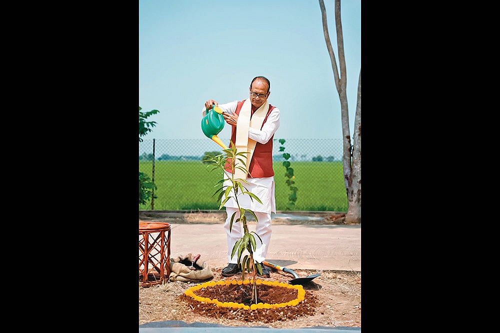 A Sapling a Day: Chouhan has long cultivated the image of an enviornmentalist - | Courtesy: X