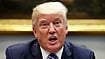 'This Is A Much More Powerful Term': Trump Boasts Of Greater Power In Second Term At Kentucky Rally