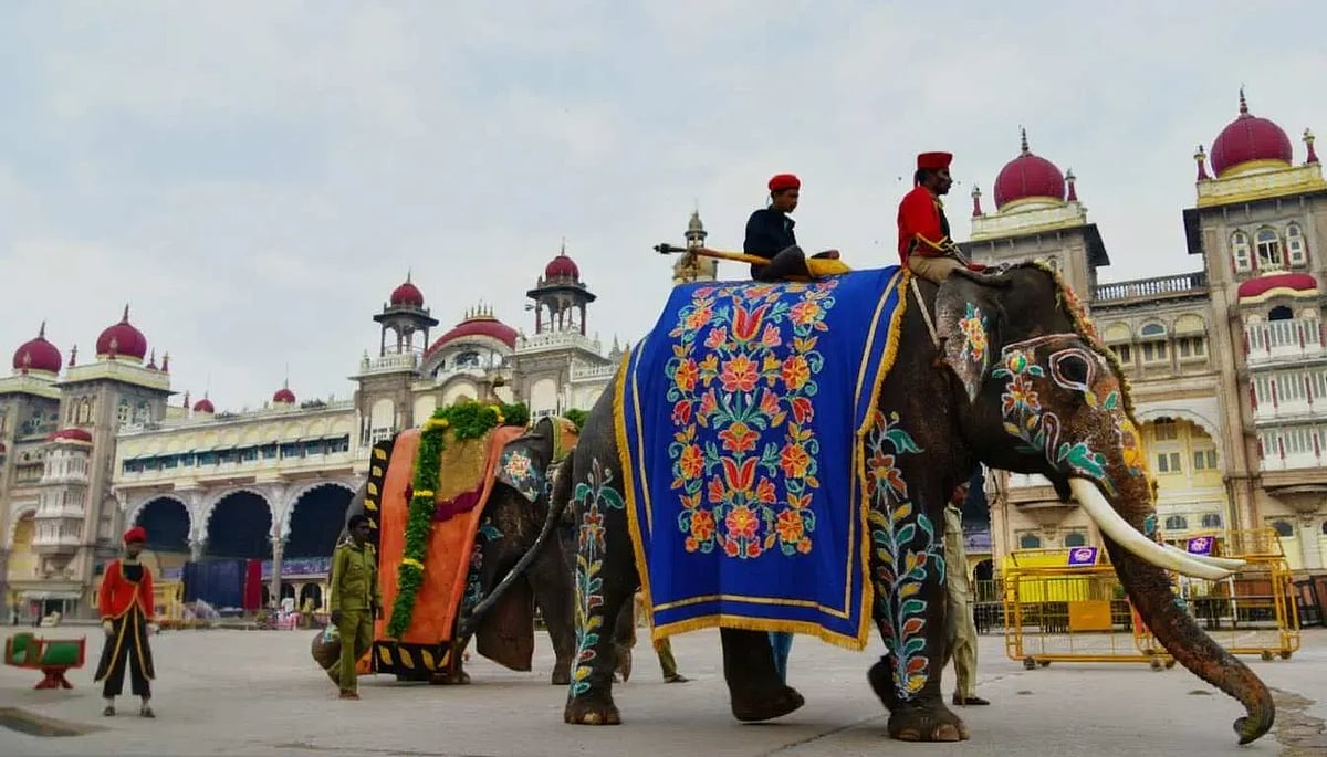 Jamboo Savari