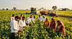 Soybean Sector Needs Productivity Push, Stable Import Duty Regime: Outgoing SOPA Chairman Dr Davish Jain