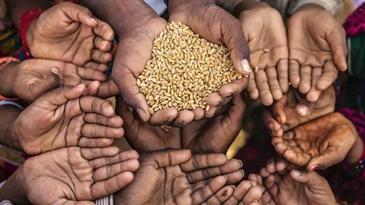 India Ranks 100th In Global Hunger Index, Behind Bangladesh and Nepal But Ahead of Pakistan - null