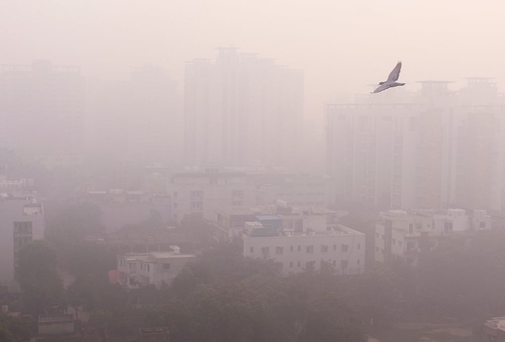 Delhi weather
