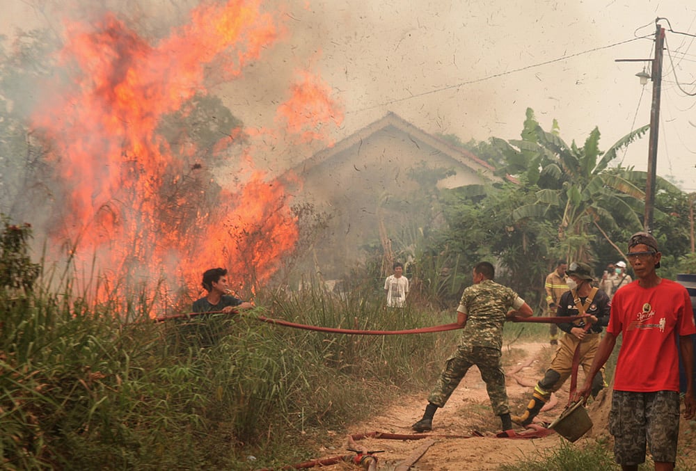 indonesia forest fires