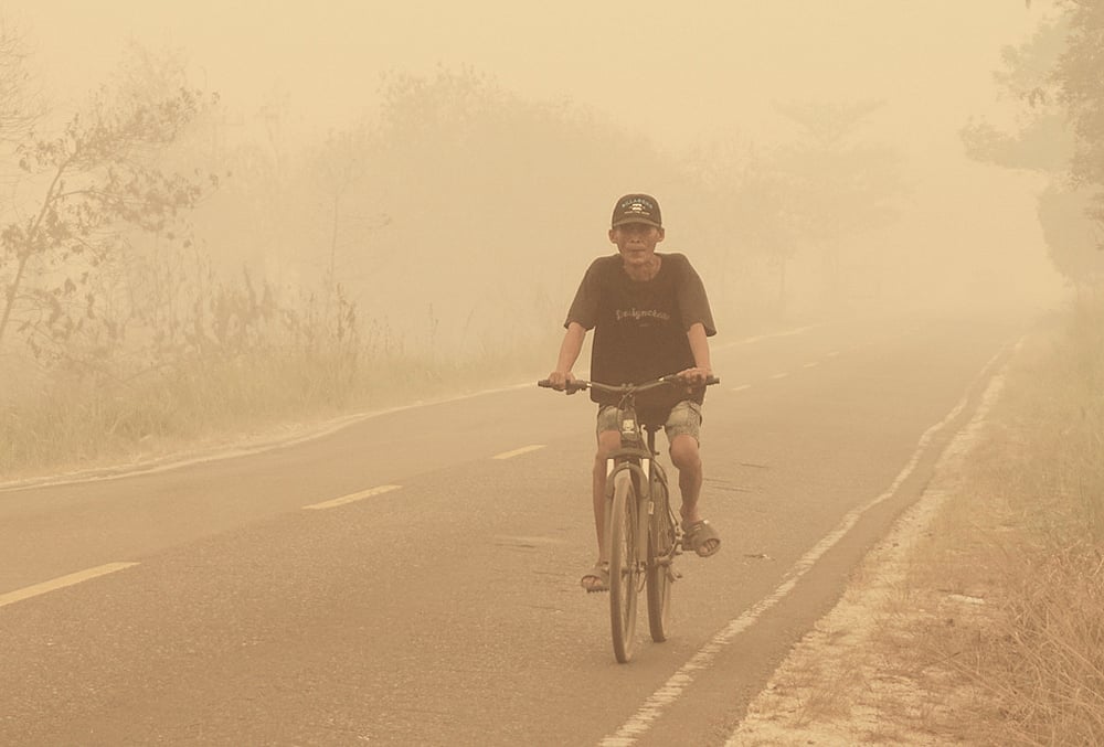 indonesia peatland fires